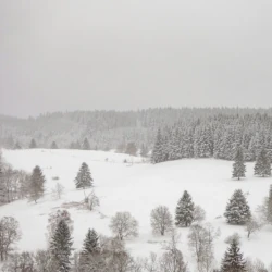 Der verschneite Thüringer Wald auf dem Ilmtalradweg